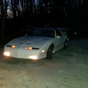 Meet your Posher, Timmy